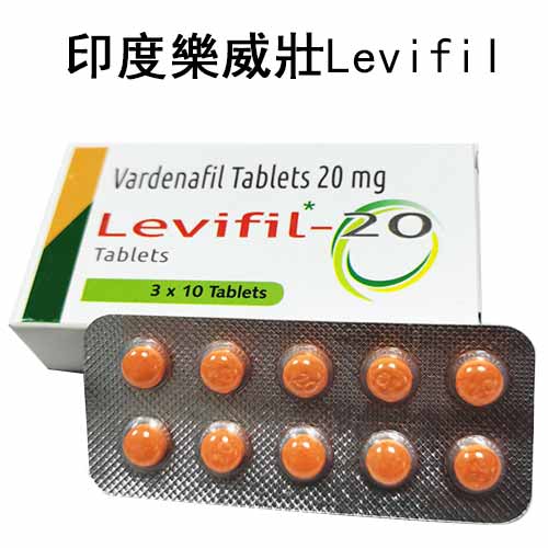 樂威壯Levifil.jpg