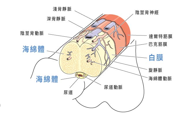 QQ20250415-214153.jpg