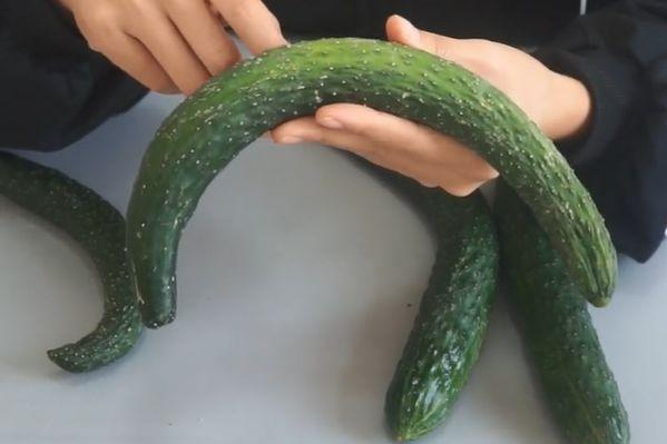 QQ20250415-213936.jpg