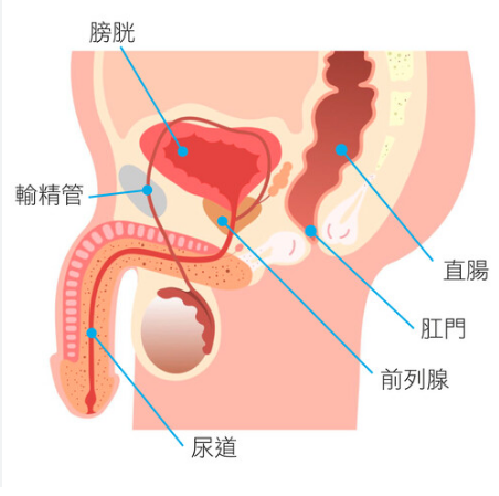 QQ20250419-100642.jpg