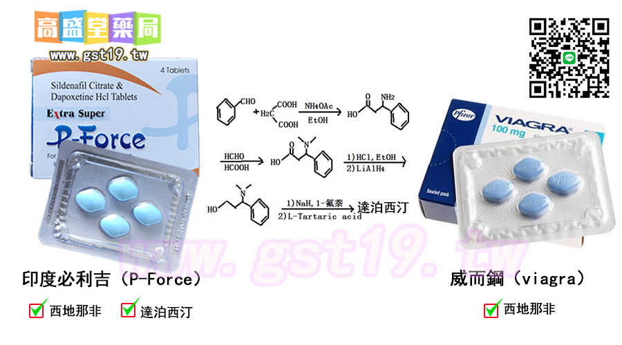 印度藍P必利吉（P-Force）1.jpg