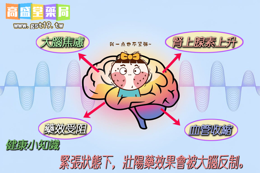 緊張狀態下，壯陽藥效果會被大腦反制.jpg