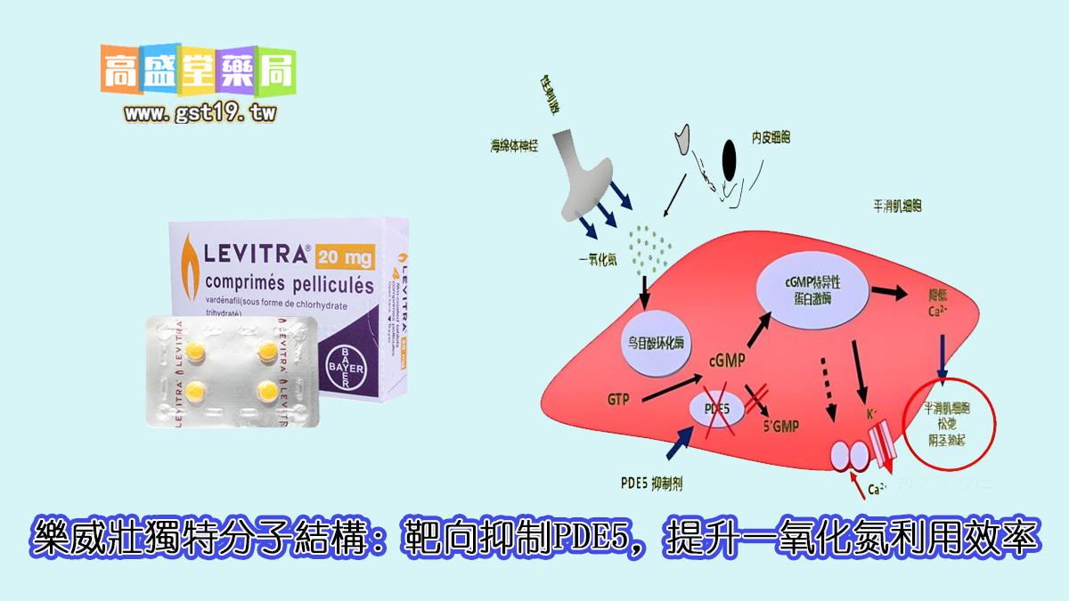 1754967277948525.jpg 樂威壯獨特分子結構:靶向抑制PDE5,提升一氧化氮利用效率.jpg