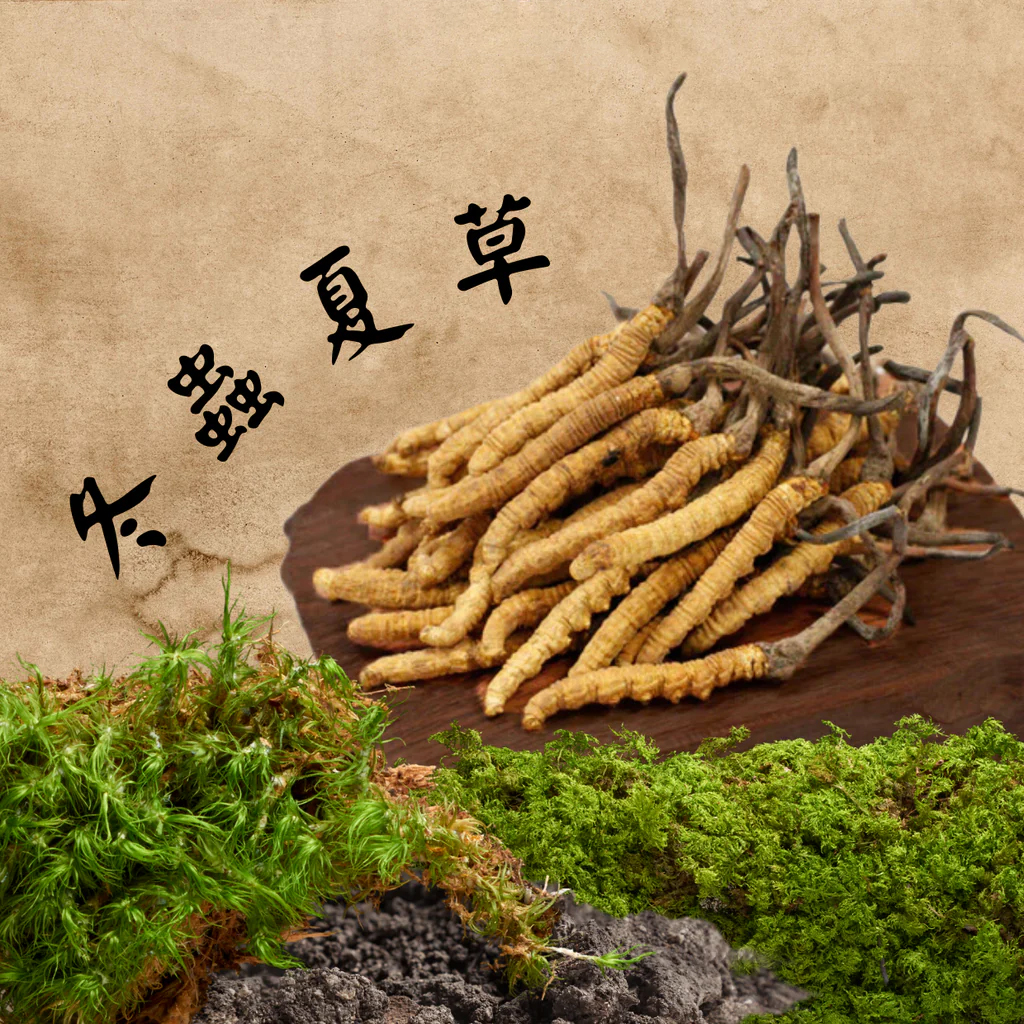 1755227792660162.jpg 冬蟲夏草.jpg