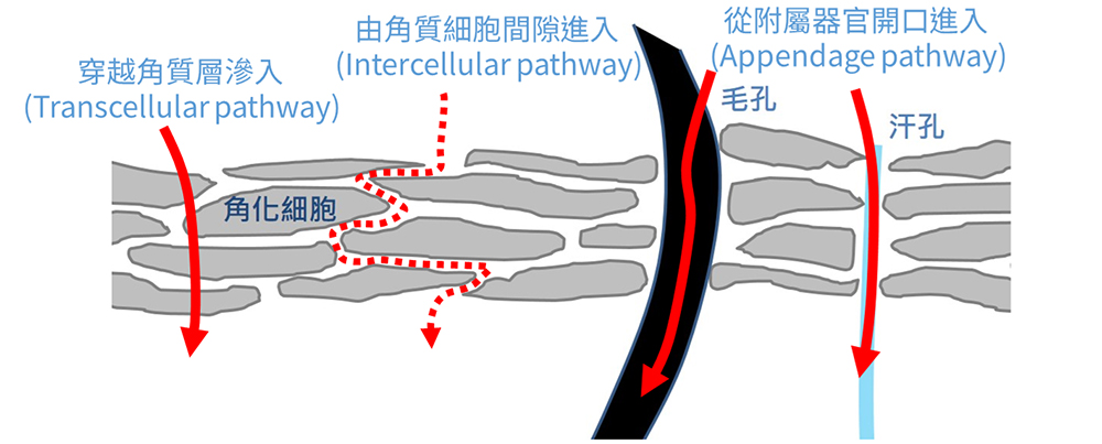 1765935668461667.jpg 063151.jpg